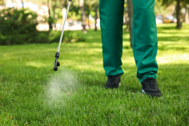 Best Wildlife Control Services  in Staples, MN