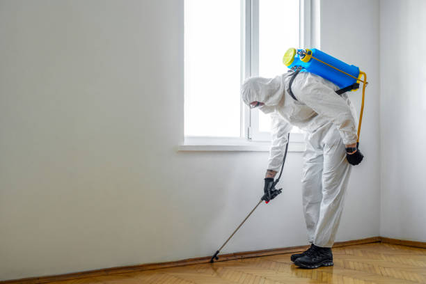 Best Flea Control Services  in Staples, MN