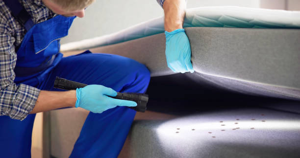Best Emergency Pest Control  in Staples, MN
