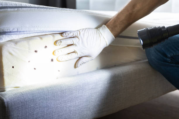 Best Pest Prevention Services  in Staples, MN
