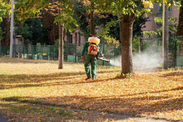 Best Residential Pest Control  in Staples, MN